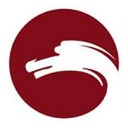 环球军事网